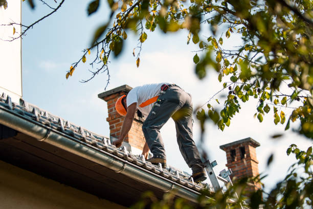 Quick and Trustworthy Emergency Roof Repair Services in Dexter, MI