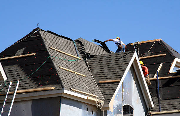 Best Roof Leak Repair  in Dexter, MI