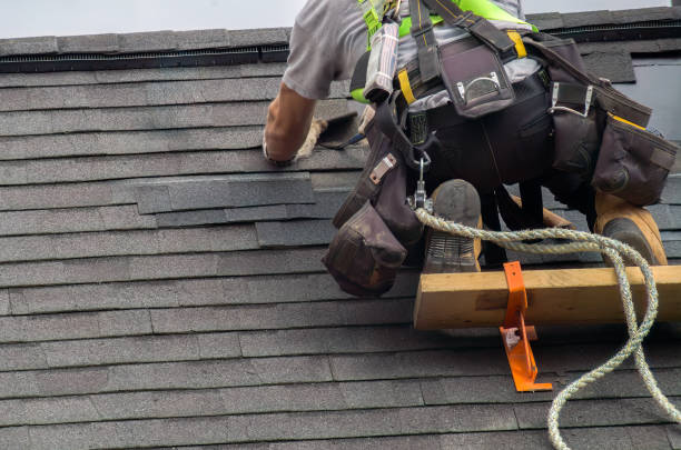 Best Metal Roofing Contractor  in Dexter, MI