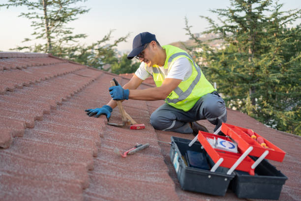 Best Tile Roofing Contractor  in Dexter, MI
