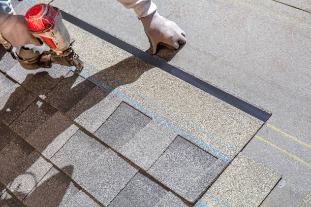 Best Best Roofing Contractors  in Dexter, MI