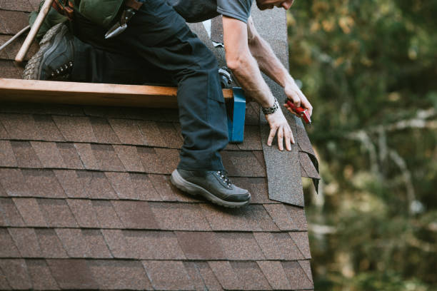 Best Roof Gutter Cleaning  in Dexter, MI